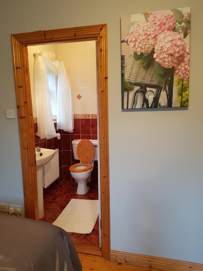 Apartament Hillgrove House Boyle Zewnętrze zdjęcie